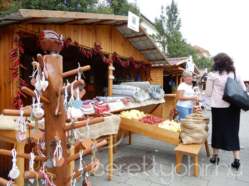 Helyi Értékek Startja 52